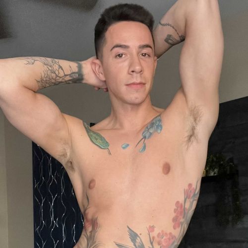 vincentoreillyfree