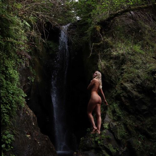 aestheticcurvy