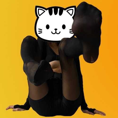 tiny_paws